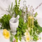 Medicinal and culinary herbs