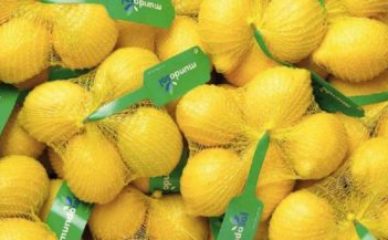 Limun je bezbedan, kora nije za jelo